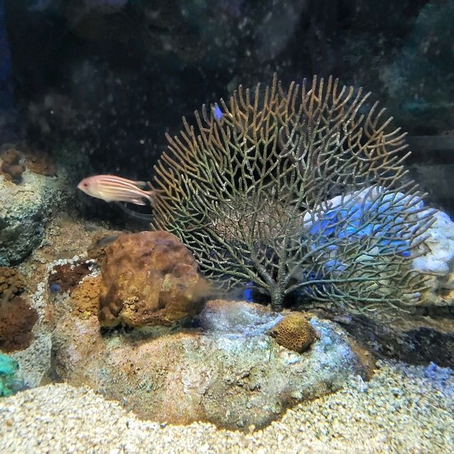 Underwater World Pattaya 