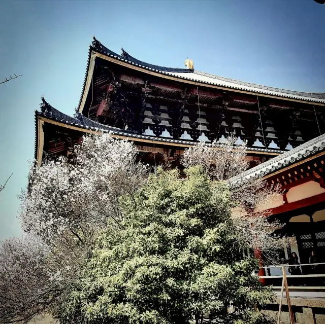 大阪近郊旅遊好去處：東大寺