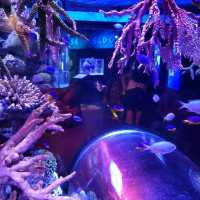 Sea Life Bangkok Ocean World