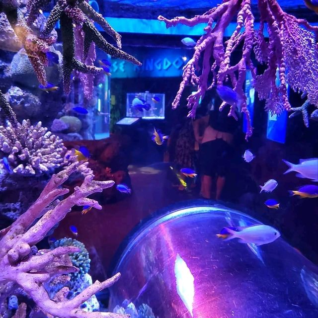 Sea Life Bangkok Ocean World