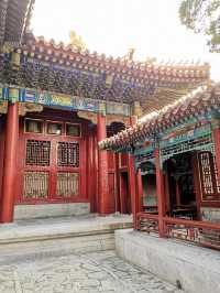 Autumn in the Forbidden City: A Journey Through History and Beauty 