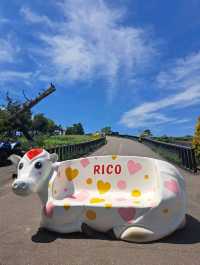 【ぜるぶの丘:北海道美瑛町】鮮やかなお花がたくさん見れるぜるぶの丘🌷