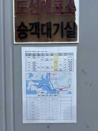 모세의 기적 실사판