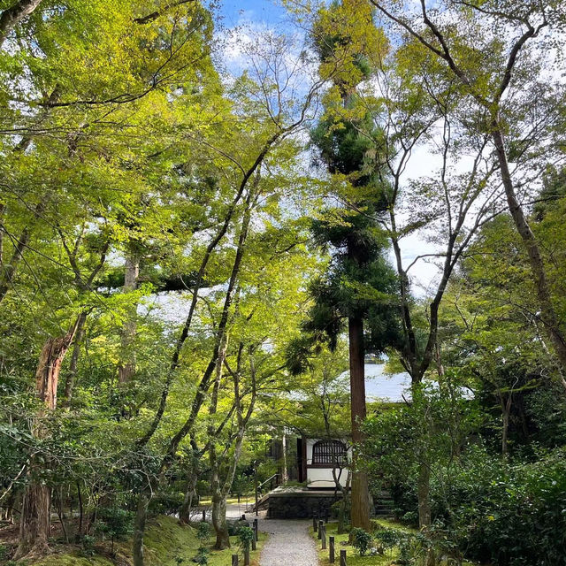 #竹林山松月院：在竹林深處尋找禪意的樂趣！🎍🧘‍♂️