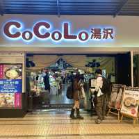 【新潟/湯沢】足湯もあるよ‼︎越後湯沢駅とその周辺をご紹介