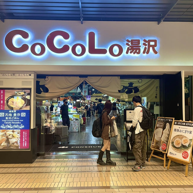 【新潟/湯沢】足湯もあるよ‼︎越後湯沢駅とその周辺をご紹介