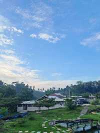 HOT SPRING LAU SIGEMBURA PENEN