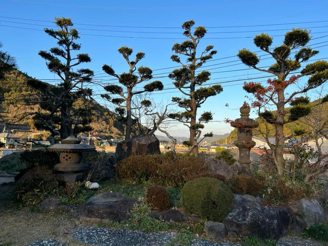 嬉野茶交流館 福岡景點 九州之旅