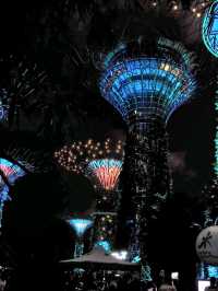 Gardens by the Bay: ชมแสงสียามค่ำคืน ✨️