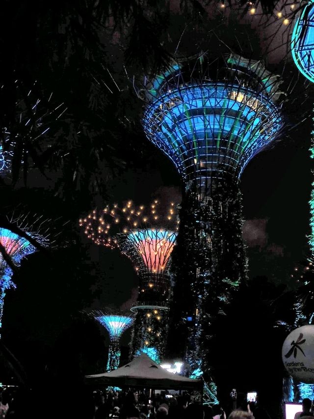 Gardens by the Bay: ชมแสงสียามค่ำคืน ✨️