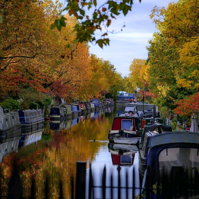 "British Brilliance: London Adventure"