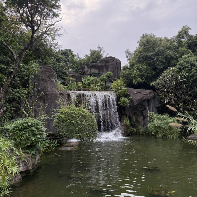 「深圳」荔枝公園，城市中的綠洲