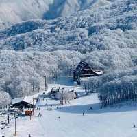 玩雪也可以選日本東北藏王