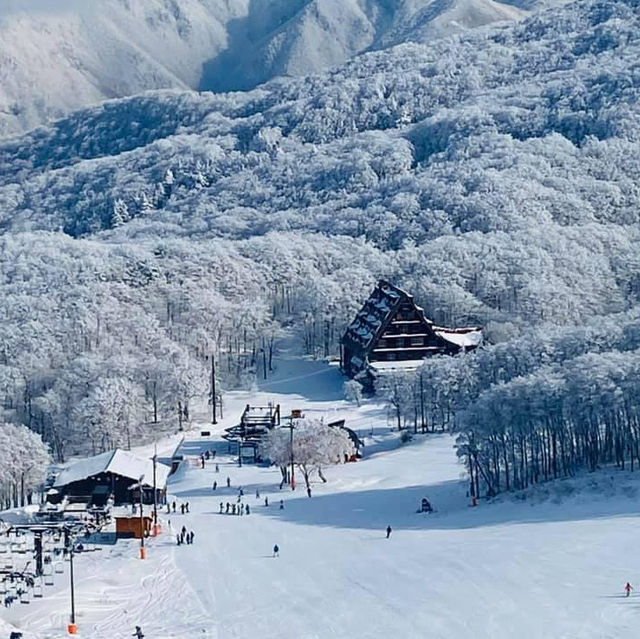 玩雪也可以選日本東北藏王