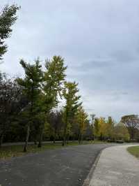 【軽井沢】遊具もターザンロープもある！紅葉が綺麗な緑地公園🍁