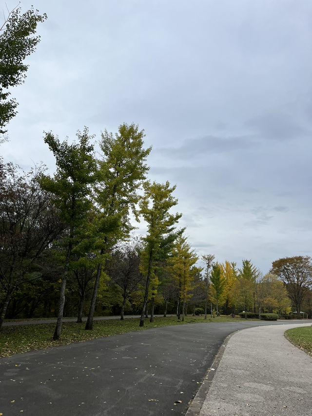 【軽井沢】遊具もターザンロープもある！紅葉が綺麗な緑地公園🍁