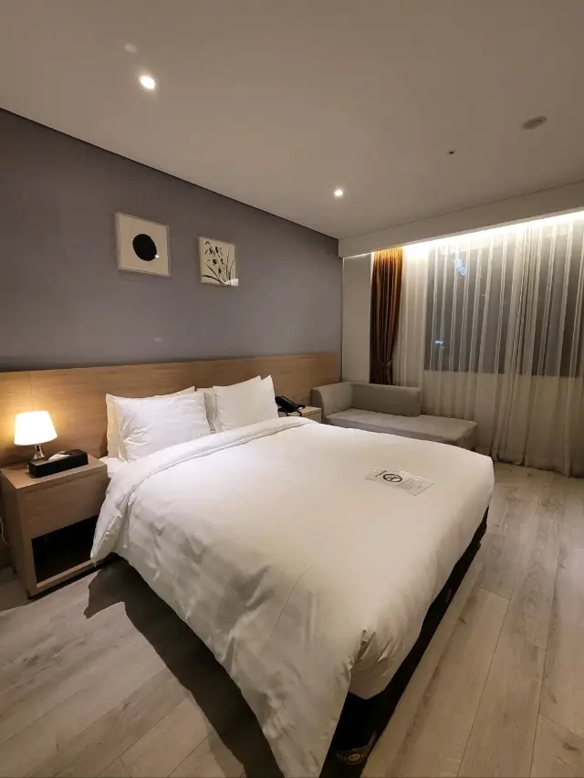 가성비로 즐기기좋은 강릉시티호텔🩵