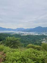 香港行山 – 蝴蝶飛舞+流水響聲 – 流水響和鶴藪水塘