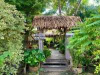 ภู ผ า   โ ฮ ม   Cafe 🌿