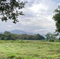 Belle Villa Resort Pai: Your Serene Mountain Retreat in Thailand