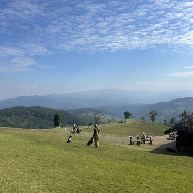 🐑 แอ่วเชียงราย Akha Farmviile 