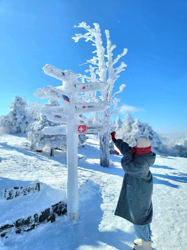 감동적인 설경을 마주하는 평창여행지❄️