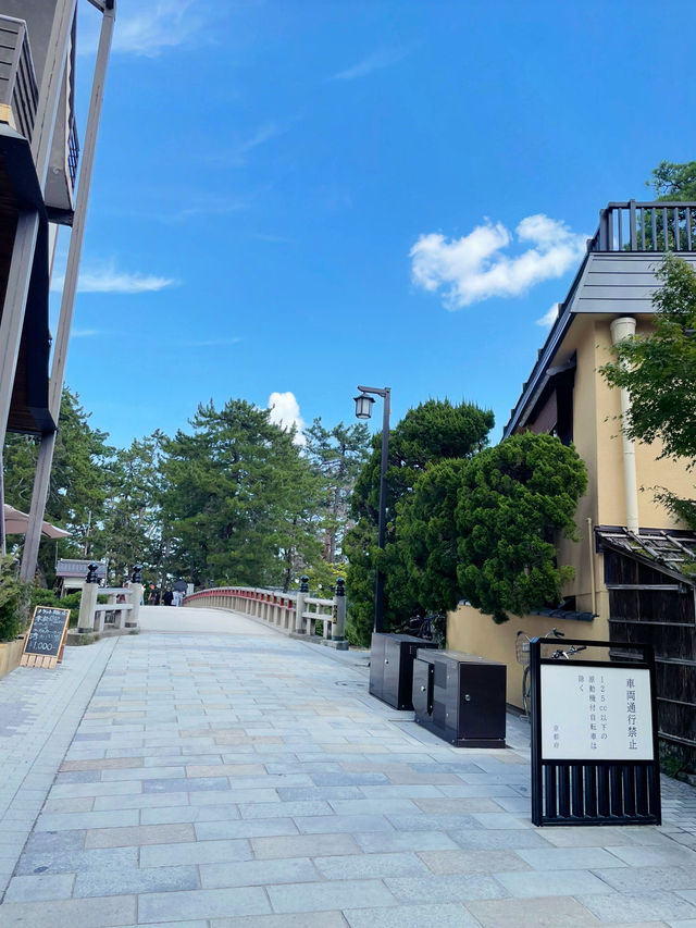 【京都府:天橋立】天橋立をモーターボートで楽しむ！