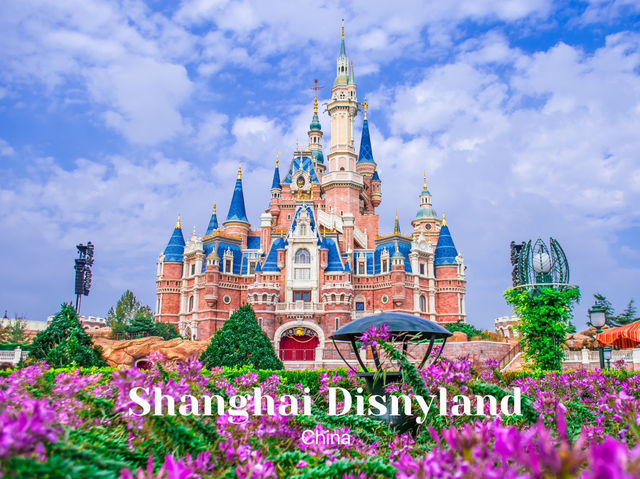  เที่ยว สวนสนุก Shanghai Disnyland 