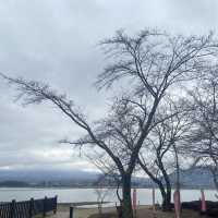 Kawaguchiko Lake (ทะเลสาบคาวากุจิโกะ) 🏞️