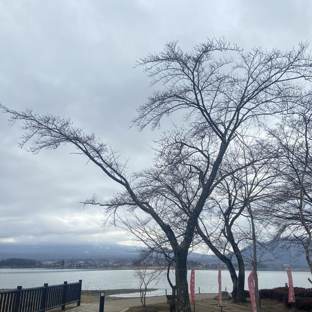 Kawaguchiko Lake (ทะเลสาบคาวากุจิโกะ) 🏞️