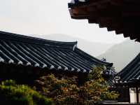 Yongin Dae Jang Geum Park ย้อนเวลาเข้าสู่โลกซีรีส์