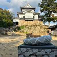 岡山景點｜空中之城．日本唯一山城天守閣—備中松山城（高粱城）