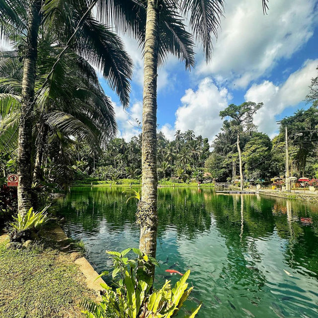Taman Mumbul Sangeh: A Spiritual and Scenic Retreat