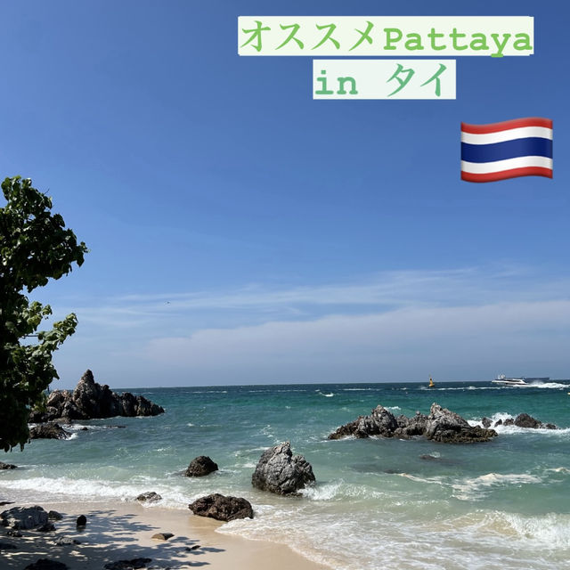 【微笑みの国タイ🇹🇭 ビーチリゾートPattaya🌺】