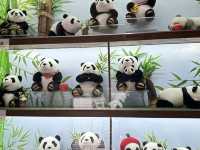 it's PANDA time !!!