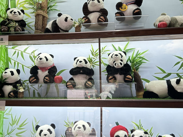 it's PANDA time !!!