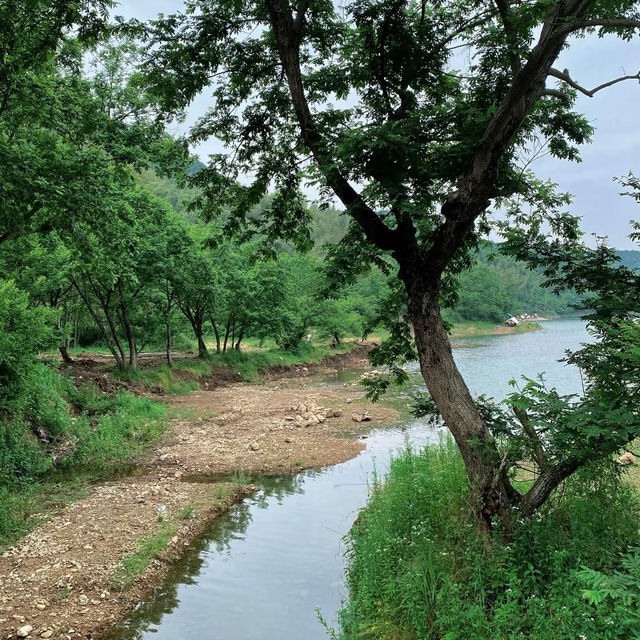 秀桐登山道：健行樂園 🏞️🌅