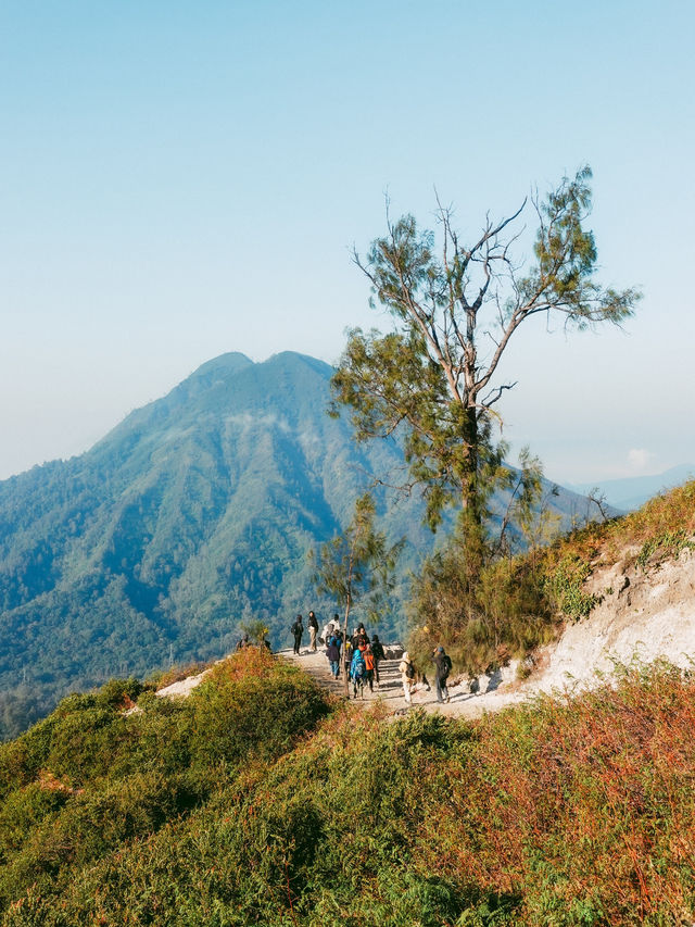 【インドネシア】別の惑星のようなイジェン山🏔️