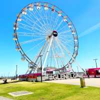 Half day trip to Glenelg beach 