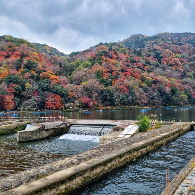 ป่าไผ่ arashiyama