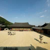 Discovering the Serenity of Beomeosa Temple