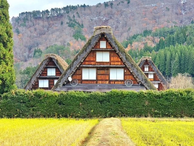 走進童話世界 - 秋天の白川鄉合掌村