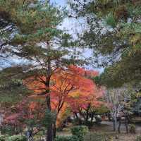 嵐山 天龍寺