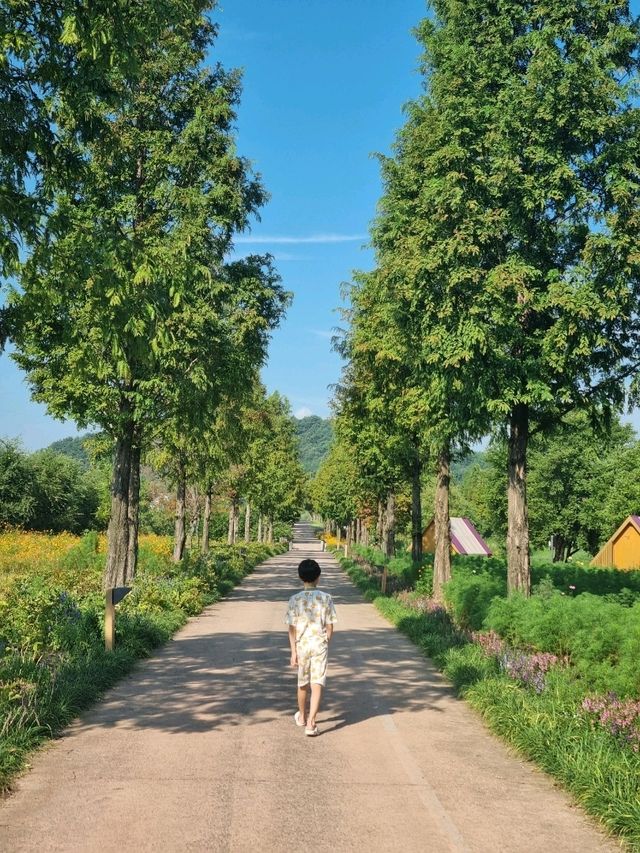 가을 햇빛이 아름다운 곳