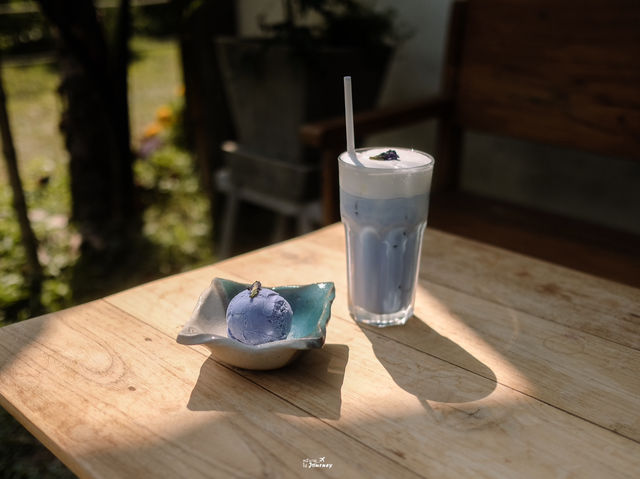 Sawanbondin คาเฟ่เชียงราย สวรรค์ของคนรักชา