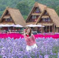 Hokkaido Flower Park Khaoyai 