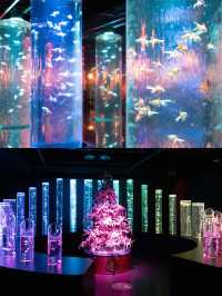 【銀座】アートアクアリウム美術館で金魚×クリスマス