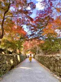 京都 ❤︎ まるで絵画のような🖼️竜宮門からの紅葉🍁 