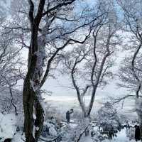 Winter Wonderland: Hiking Hallasan in Jeju’s Snowy Embrace