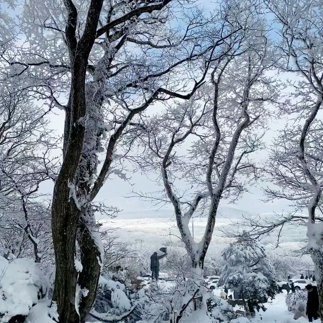 Winter Wonderland: Hiking Hallasan in Jeju’s Snowy Embrace